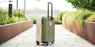 Designer Collection - ROAM Luggage