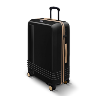 Large Check-In Expandable