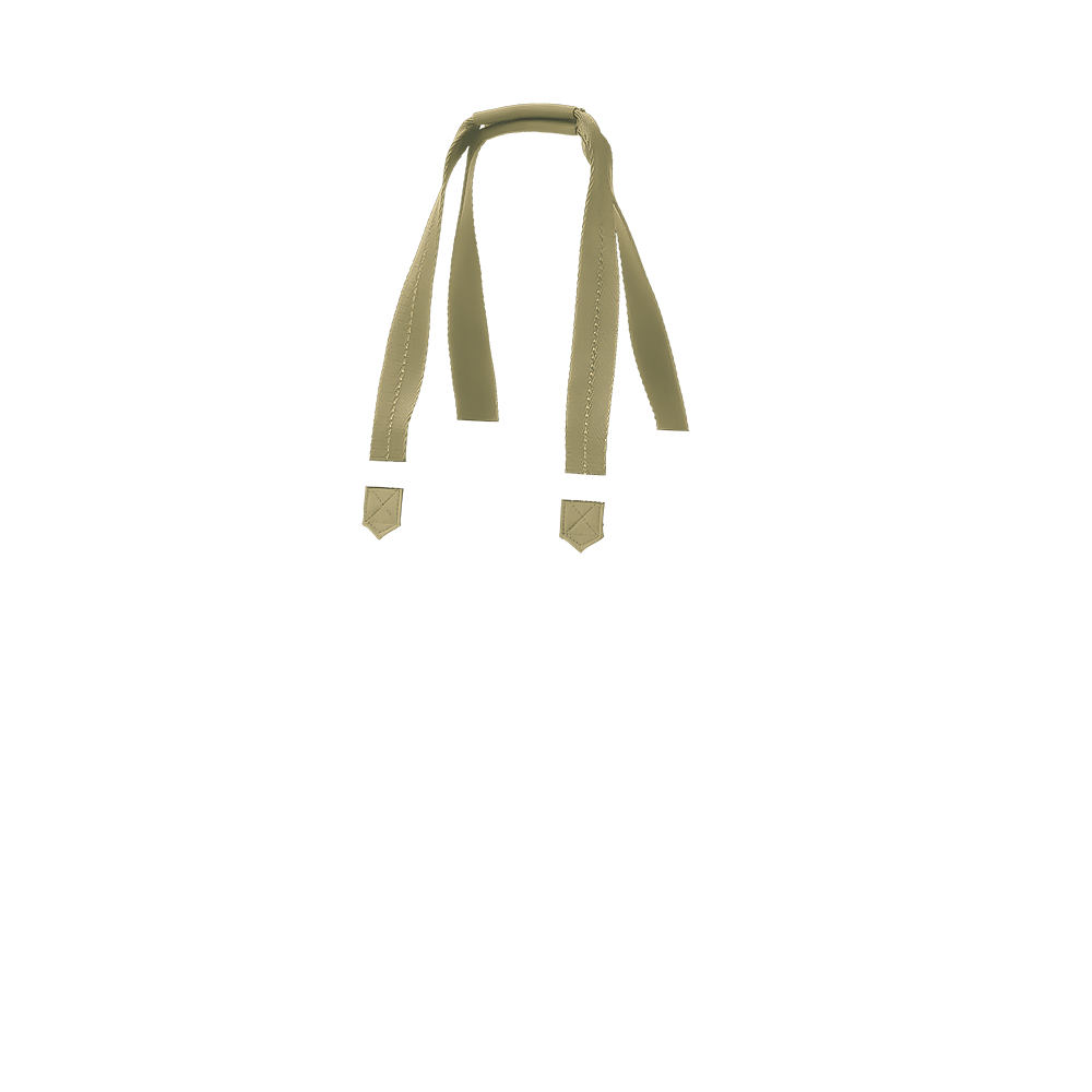 tote shop handle in venetian green