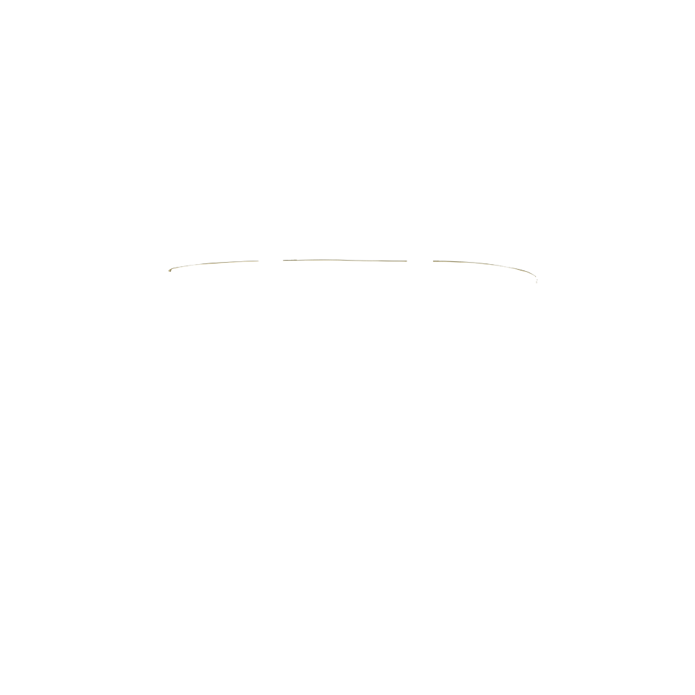 tote shop front in venetian green